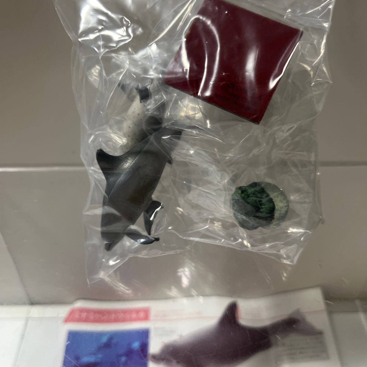 ネイチャーテクニカラー小笠原特装版 ミナミハンドウイルカ_画像2