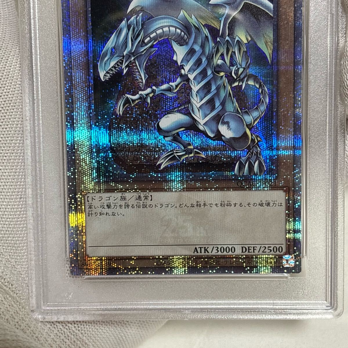 【PSA10】連番 ブラックマジシャン 青眼の白龍 絵違い QCCA 遊戯王 ブラック•マジシャン 青眼の白龍 絵違い 25th PSA10 連番