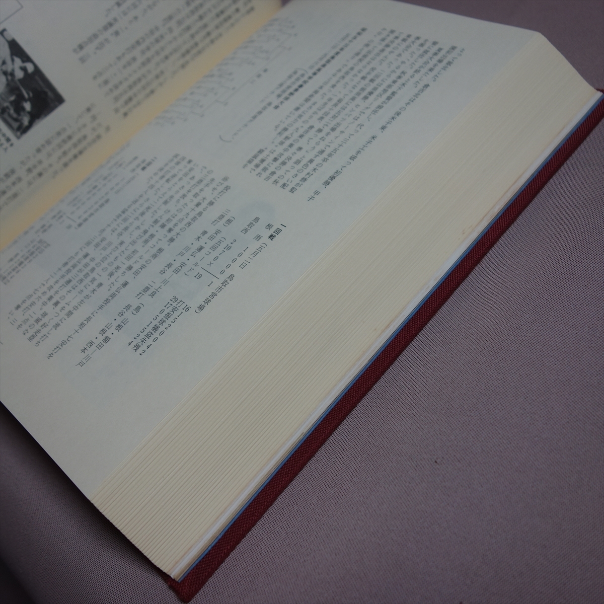 鳥取西高等学校野球部史 鳥取県立鳥取西高等学校 / 鳥取西 高等学校 野球部 史 野球部史_画像6