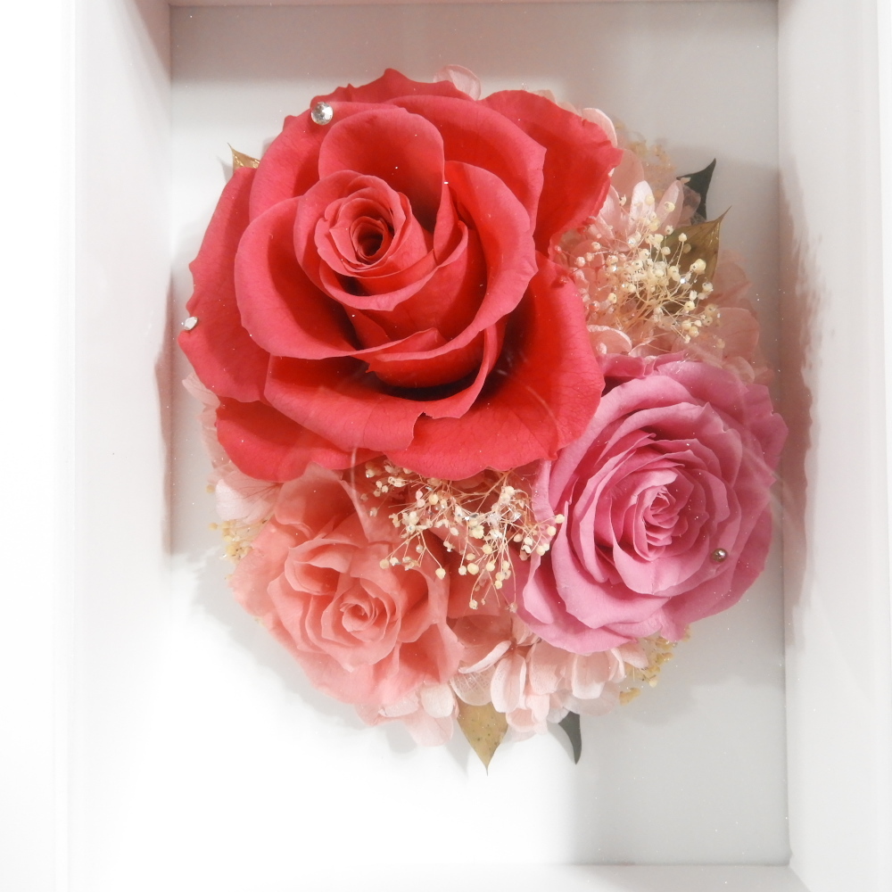 Belles fleurs Tokyo bell *f правило фоторамка фоторамка консервированный цветок сообщение интерьер