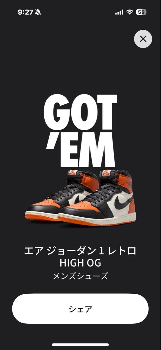 AIR JORDAN 1 RETRO HIGH OG "SHATTERED BACKBOARD"(2025) DZ5485-008 (ブラック/セイル/スターフィッシュ)