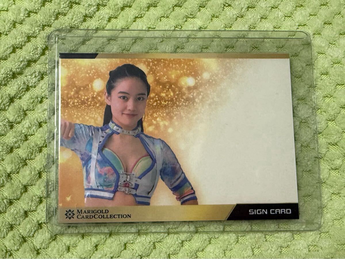 女子プロレス マリーゴールド 【068】山田奈保 エラーカード トレカ 女子プロレス マリーゴールド 【068】山田奈保 エラーカード