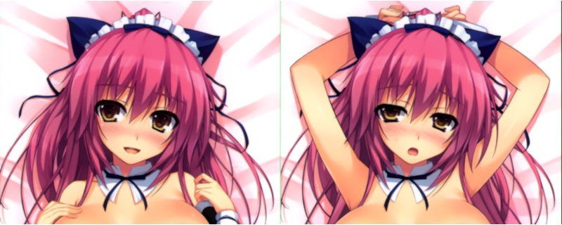 te.-..tomoseshunsakre Mini чувство Axela Dakimakura покрытие Sofmap привилегия / стандартный товар новый товар нераспечатанный бесплатная доставка 