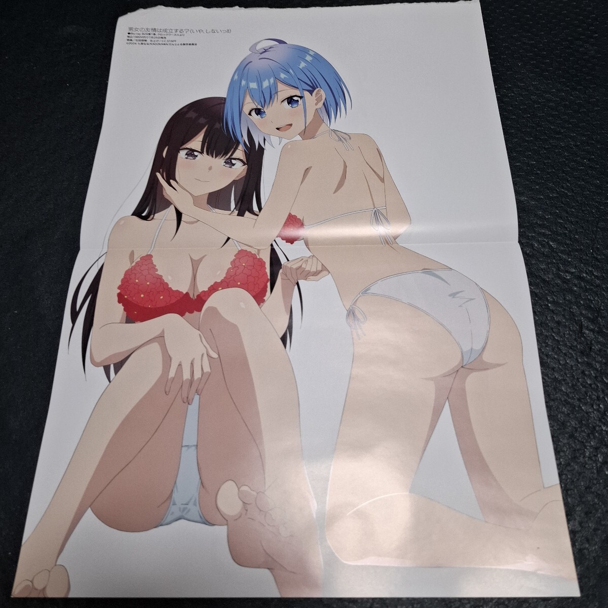 男女の友情は成立する？　ウマ娘シンデレラグレイ　 ピンナップポスター_画像1