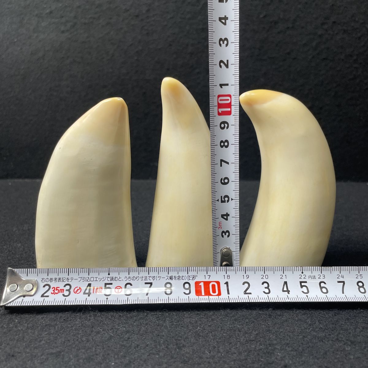鯨歯の彫刻 6P16 マッコウクジラ クジラの歯彫刻 孝左 工芸品 骨董品 牙鯨牙