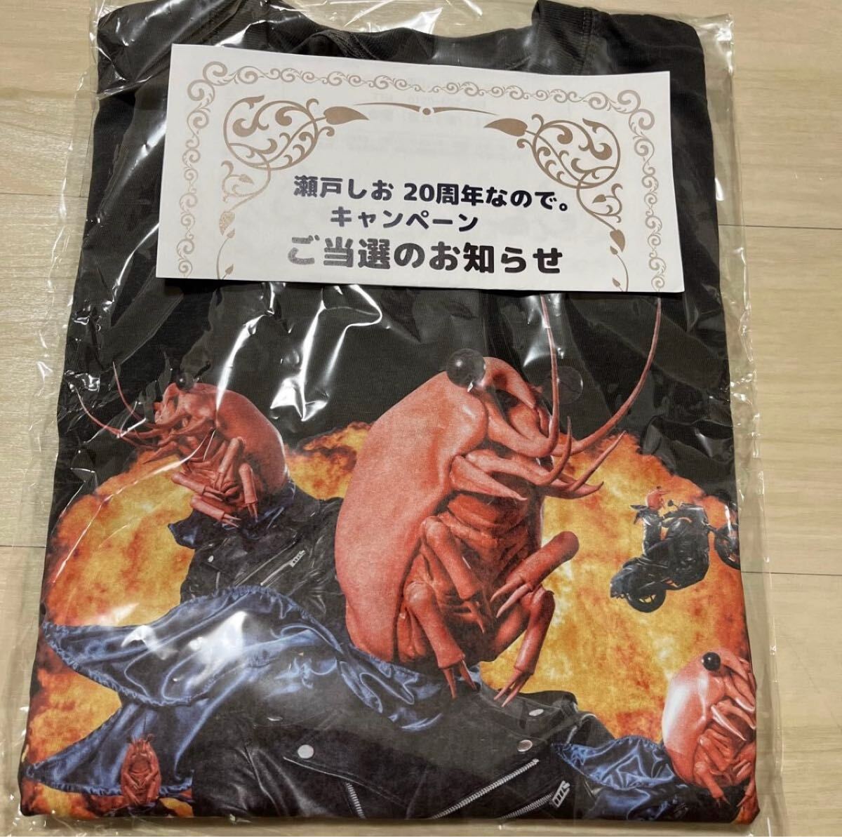 井桁弘恵 瀬戸しお 20周年 キャンペーン 当選品 Tシャツ 瀬戸しお 20周年 キャンペーン 当選品 Tシャツ 井桁弘恵|Yahoo