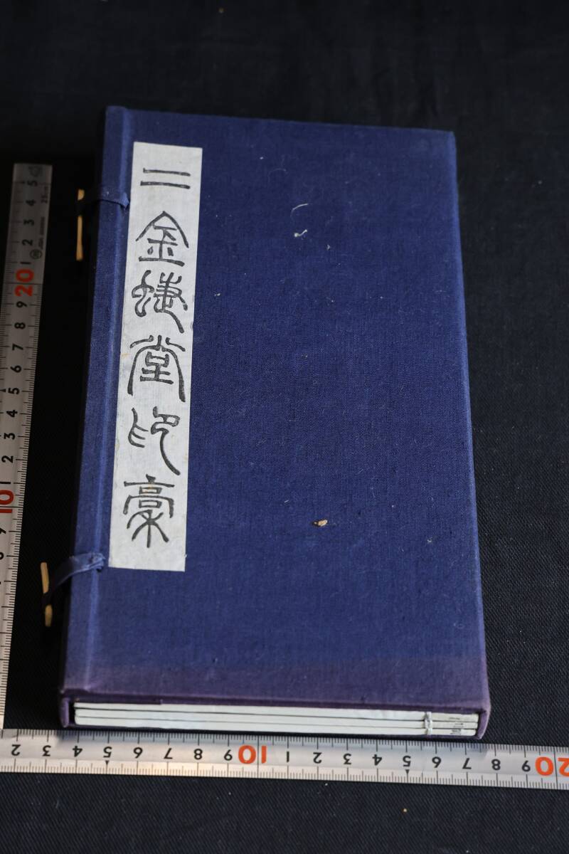 駿台 22年度最新版 夏期・冬期 京大現代文 松本孝子先生