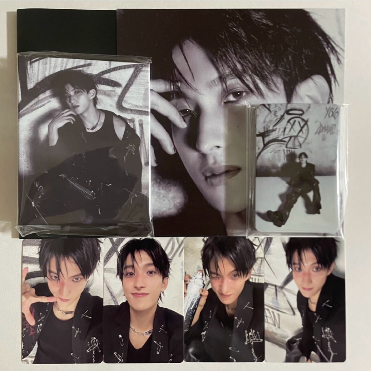 SEVENTEEN 2015 クリコン チェキ トレカ ドギョム ポラロイド SEVENTEEN DK ドギョム HAPPY BURSTDAY DAREDEVIL バインダー