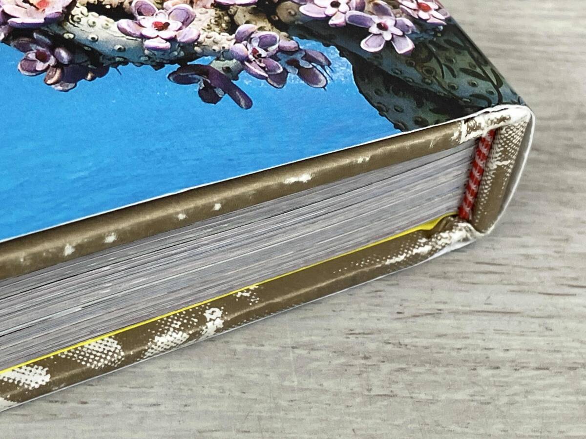 奇界遺産 佐藤健寿_画像7