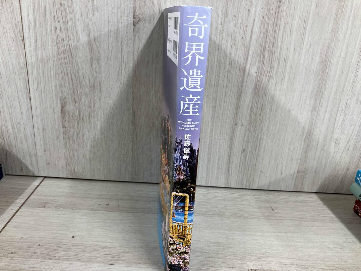 奇界遺産 佐藤健寿_画像3