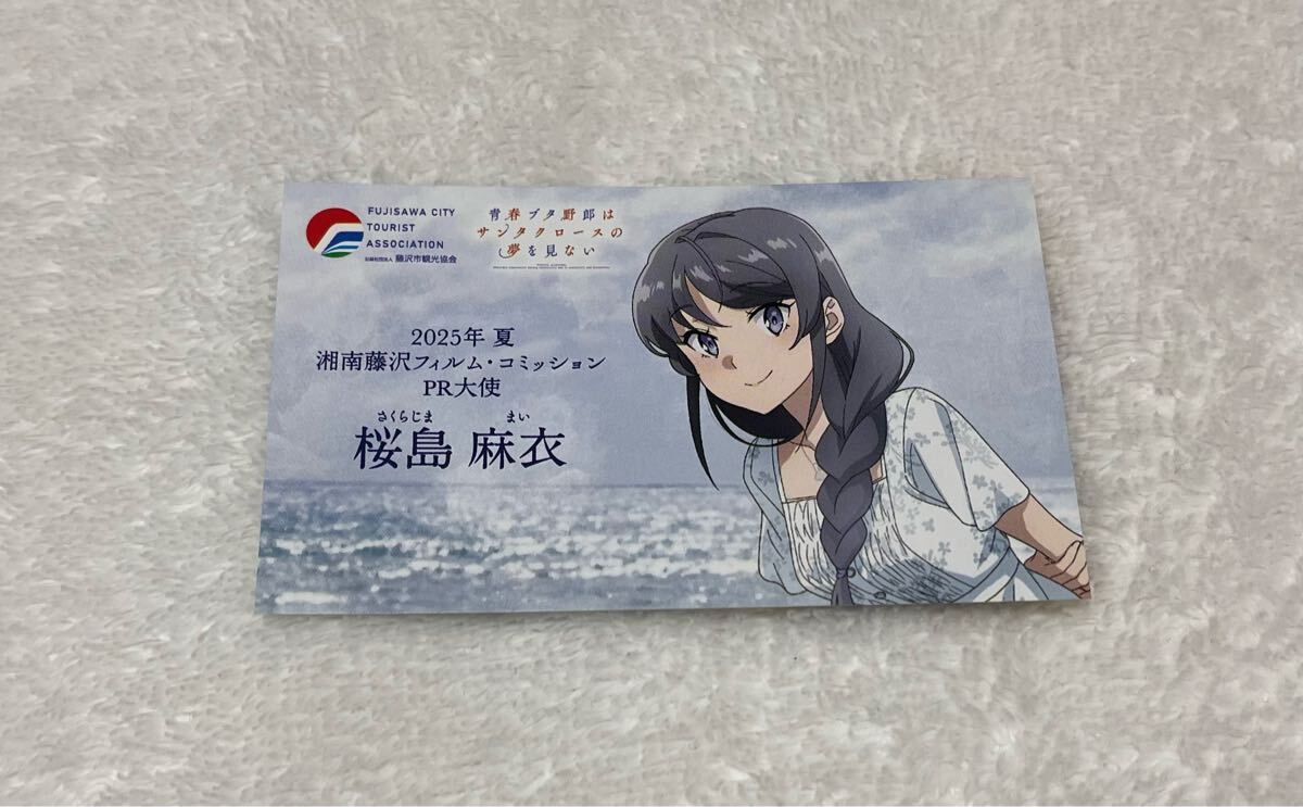 桜島麻衣 名刺 チラシ 青ブタ 藤沢市 スタンプラリー 特典 非売品_画像2