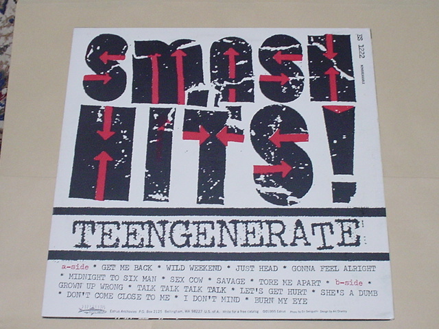 GARAGE PUNK:TEENGENERATE / SMASH HITS!(美品,1995年,ES1222,Estrus,LP,FIRESTARTER,AMERICAN SOUL SPIDERS,RAYDIOS,THE DEVIL DOGS)_画像2