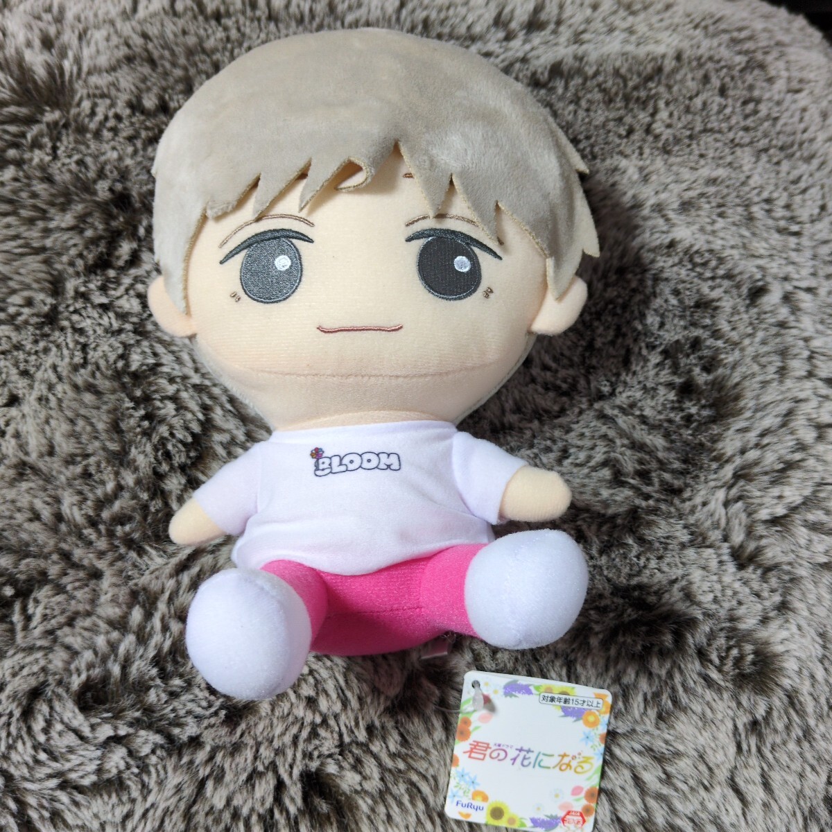 宮世琉弥 成瀬大二郎 ボイスぬいぐるみ タグ付き未使用品 成瀬大二郎(なるせだいじろう)/宮世琉弥 君の