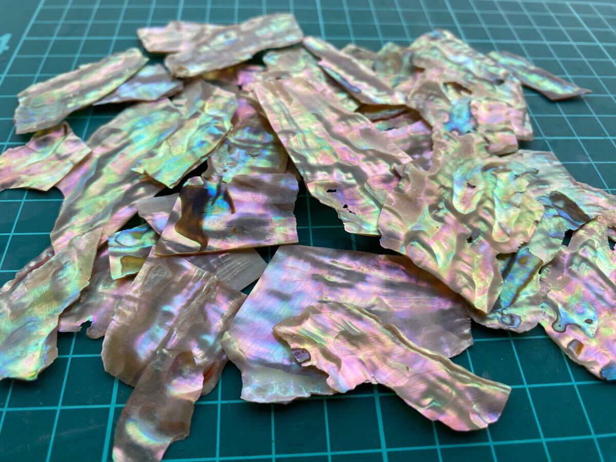 アワビ貝　スライス　40g35枚前後　螺鈿細工　ハンドメイド　ハンドクラフト_画像1