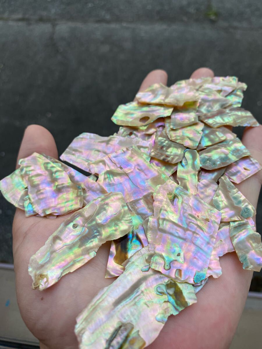アワビ貝　スライス　40g35枚前後　螺鈿細工　ハンドメイド　ハンドクラフト_画像2