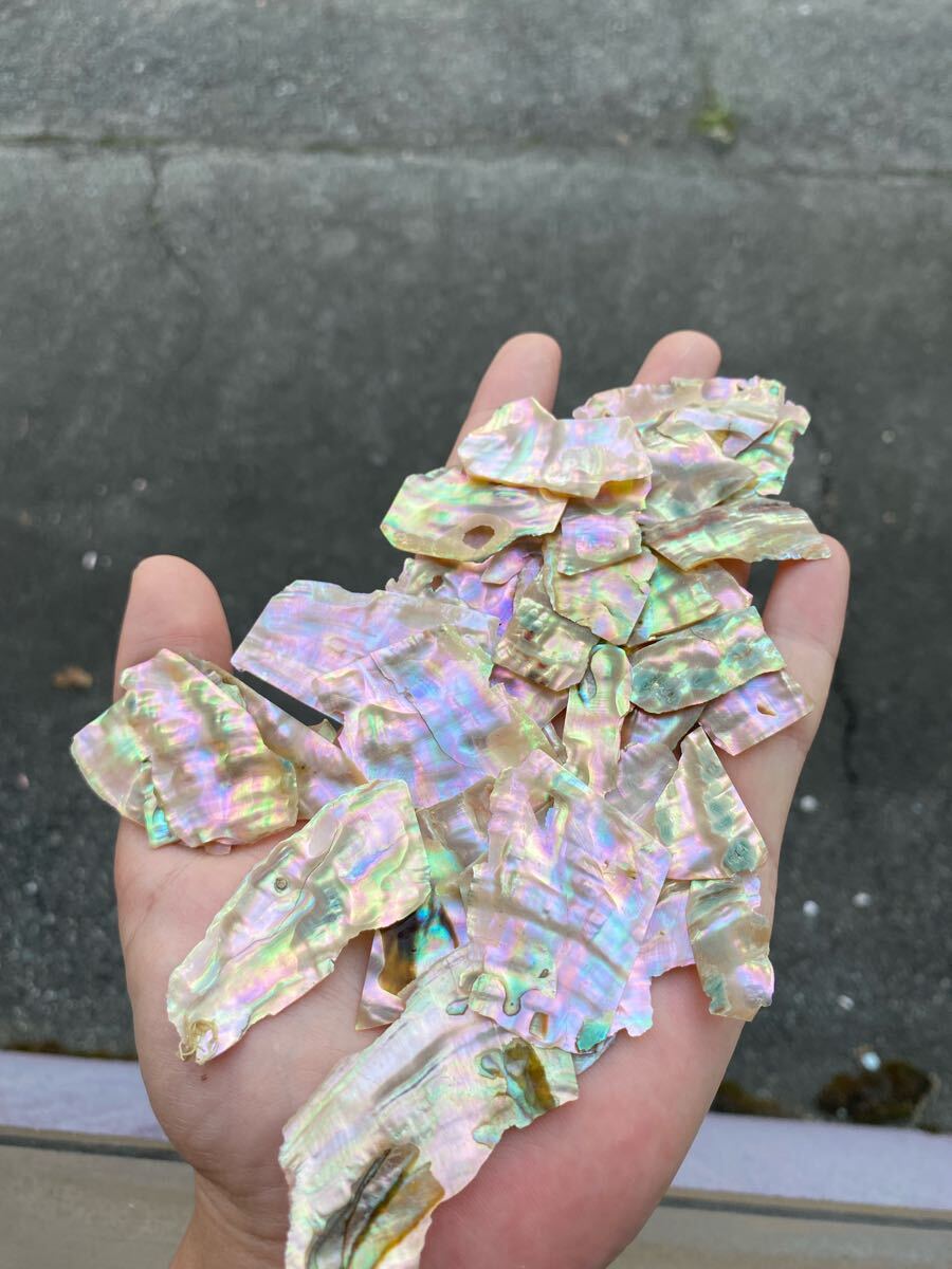 アワビ貝　スライス　40g35枚前後　螺鈿細工　ハンドメイド　ハンドクラフト_画像3