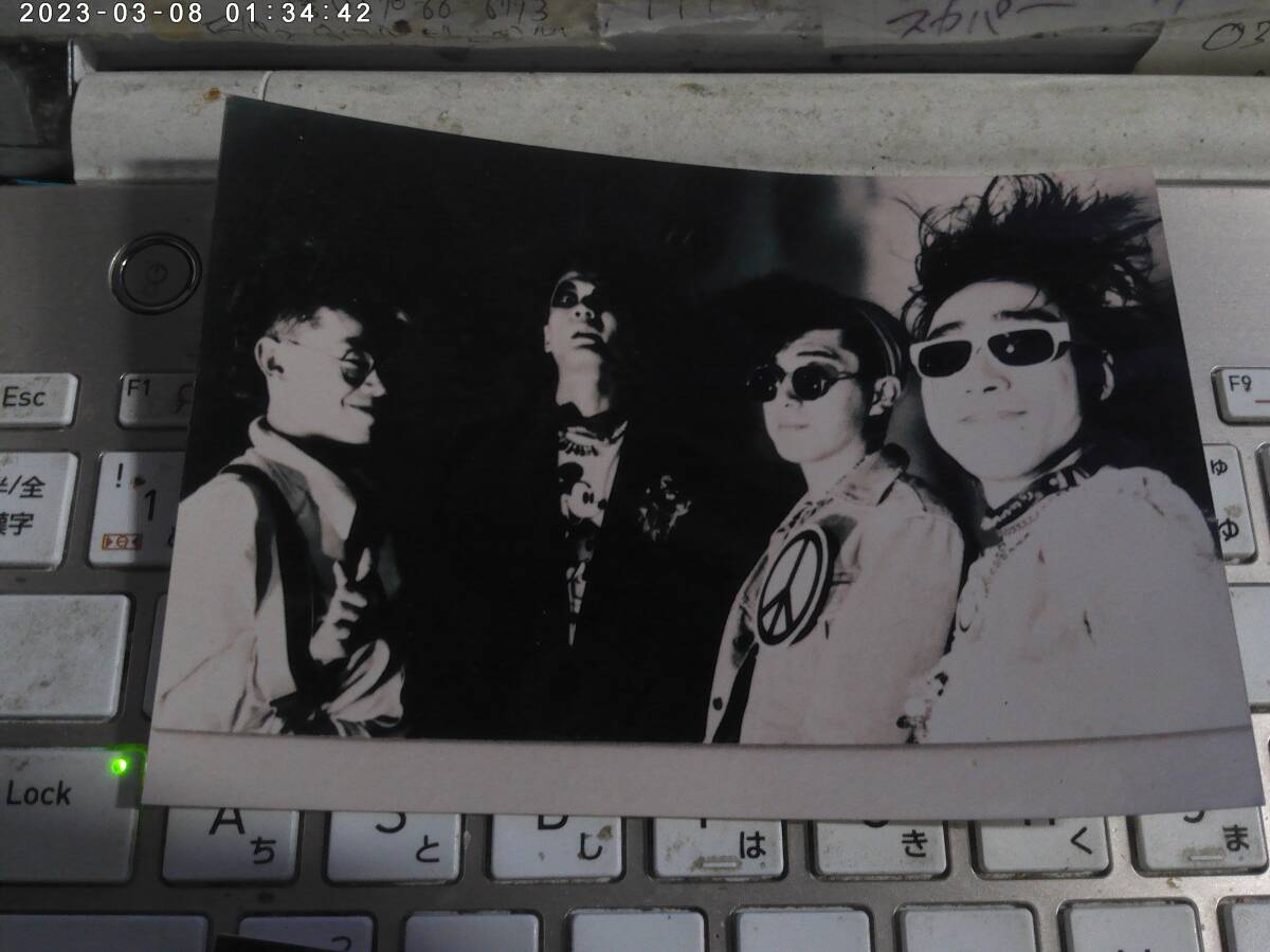 アンジー ANGIE / 生写真4枚セット 水戸華之介 岡本様ひこ 中谷のブースカ 藤井がちゃ彦_画像3