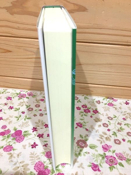 h7/チッタマニターラ 瑜伽行修道の方法 平岡宏一 法蔵館_画像3