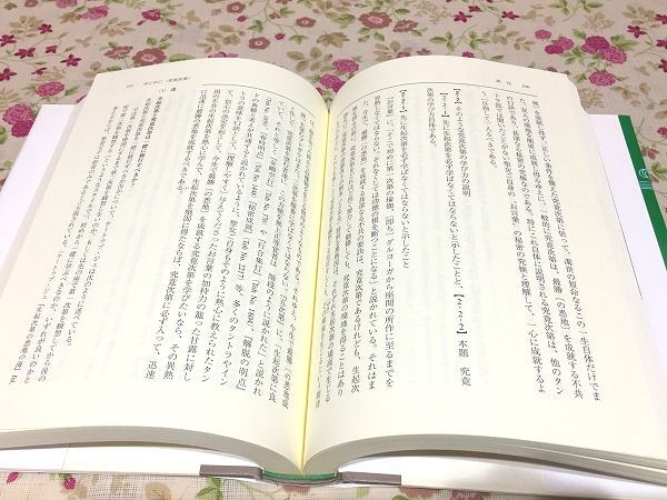 h7/チッタマニターラ 瑜伽行修道の方法 平岡宏一 法蔵館_画像5