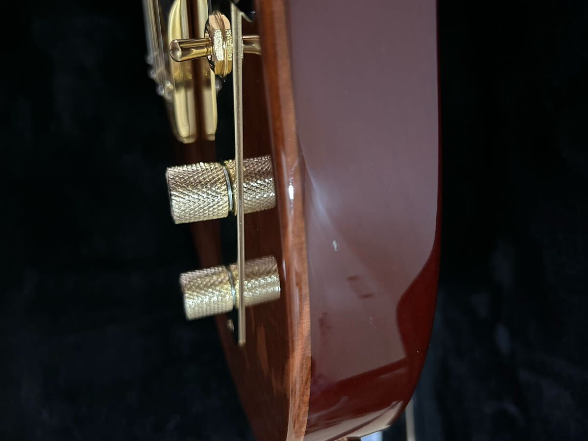 Momose MT-SHIDAREZAKURA SP'23 ハードケース