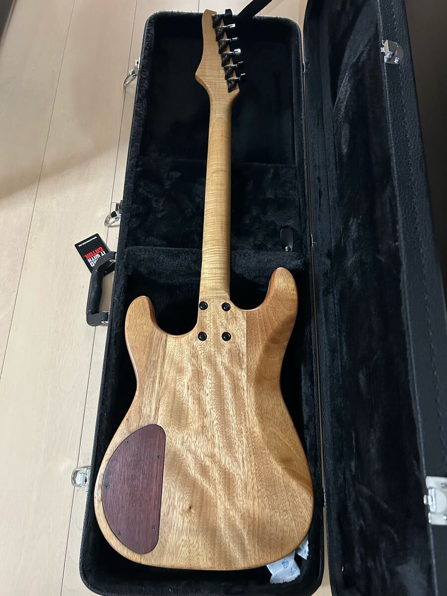 BlackZooWorks オリジナルギター　ストラトタイプ　ハードケース BlackZooWorks オリジナルギター ストラトタイプ ハードケース