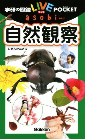  природа наблюдение Gakken. иллюстрированная книга LIVE POCKET asobi/ Gakken 