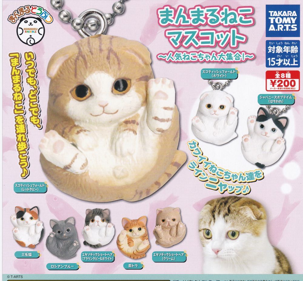  без доставки ...... эмблема популярный .. Chan большой набор все 8 вид setga коричневый / кошка /cat/........