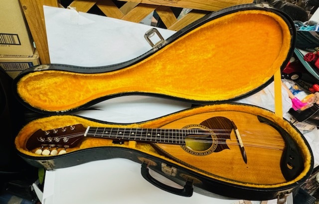 SUZUKI M-210 マンドリン ハードケース付き SUZUKI VIOLIN スズキ マンドリン 弦楽器 M-210 1974 ハード