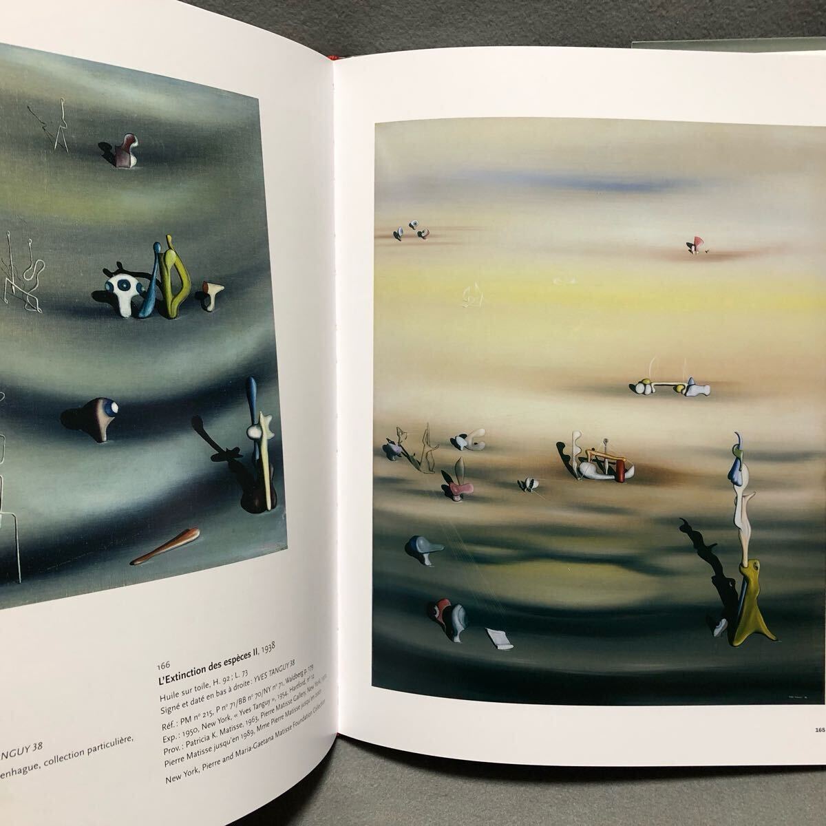 画集 Yves Tanguy イヴタンギー Surrealism［シュルレアリスム