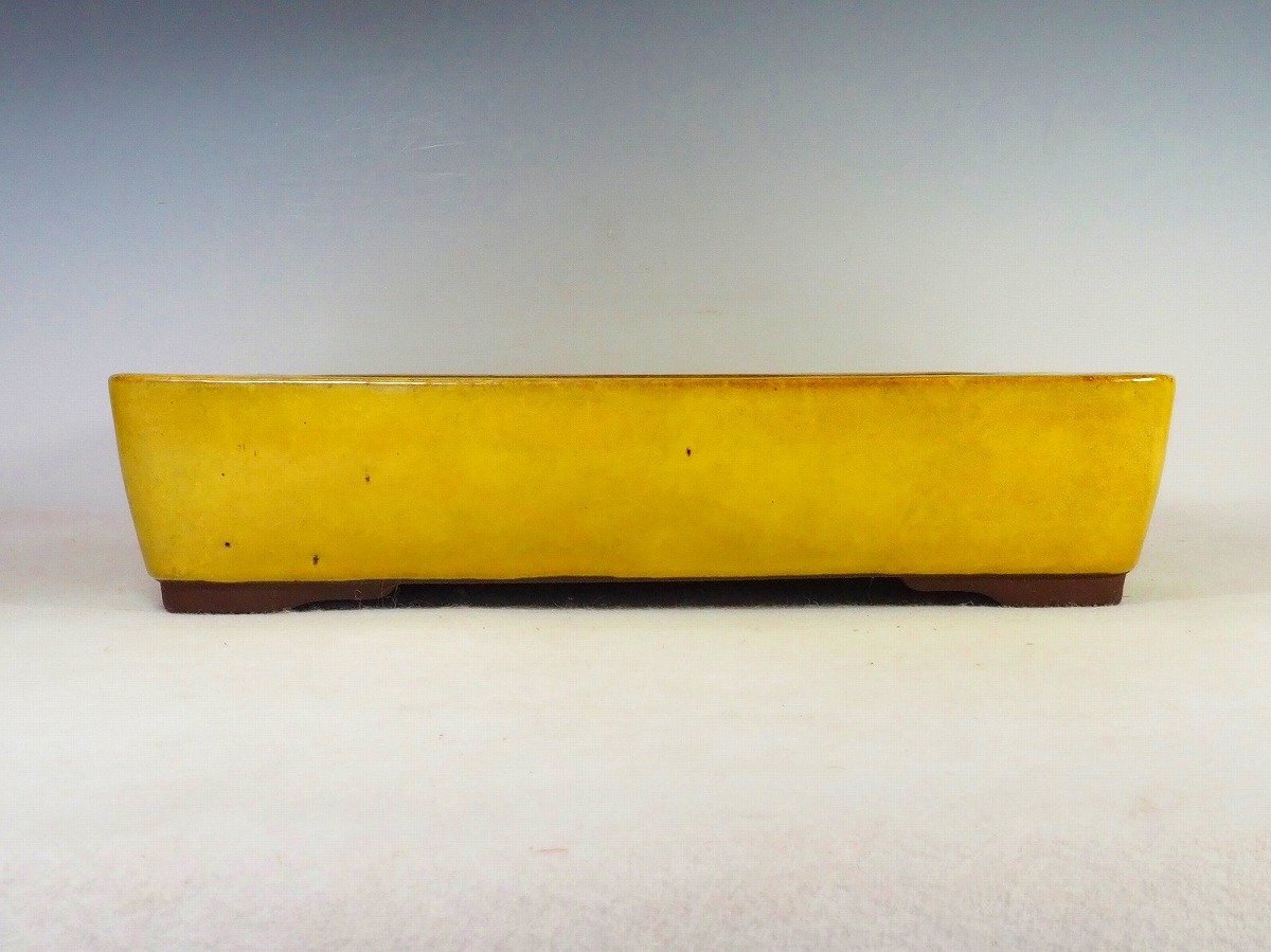 山秋 盆栽鉢 盆栽鉢 山秋【左右31.8cm】