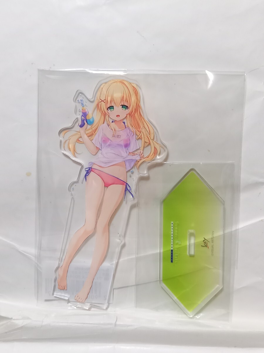 紬ヴェンダース summer pocket VA夏フェス アクリルスタンドセット 紬ヴェンダース 2024 VA夏フェス アクリルスタンド アクスタ