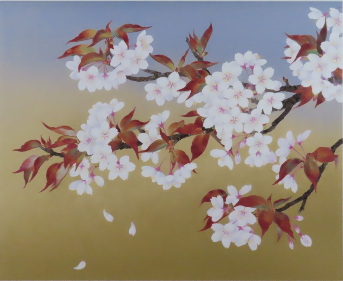 森田賢、【桜咲く】、希少な額装用画集より、状態良好、新品額装付 一度は見たい桜 | 森田敏隆, 宮本孝廣, 森田敏隆, 宮本孝廣 |本