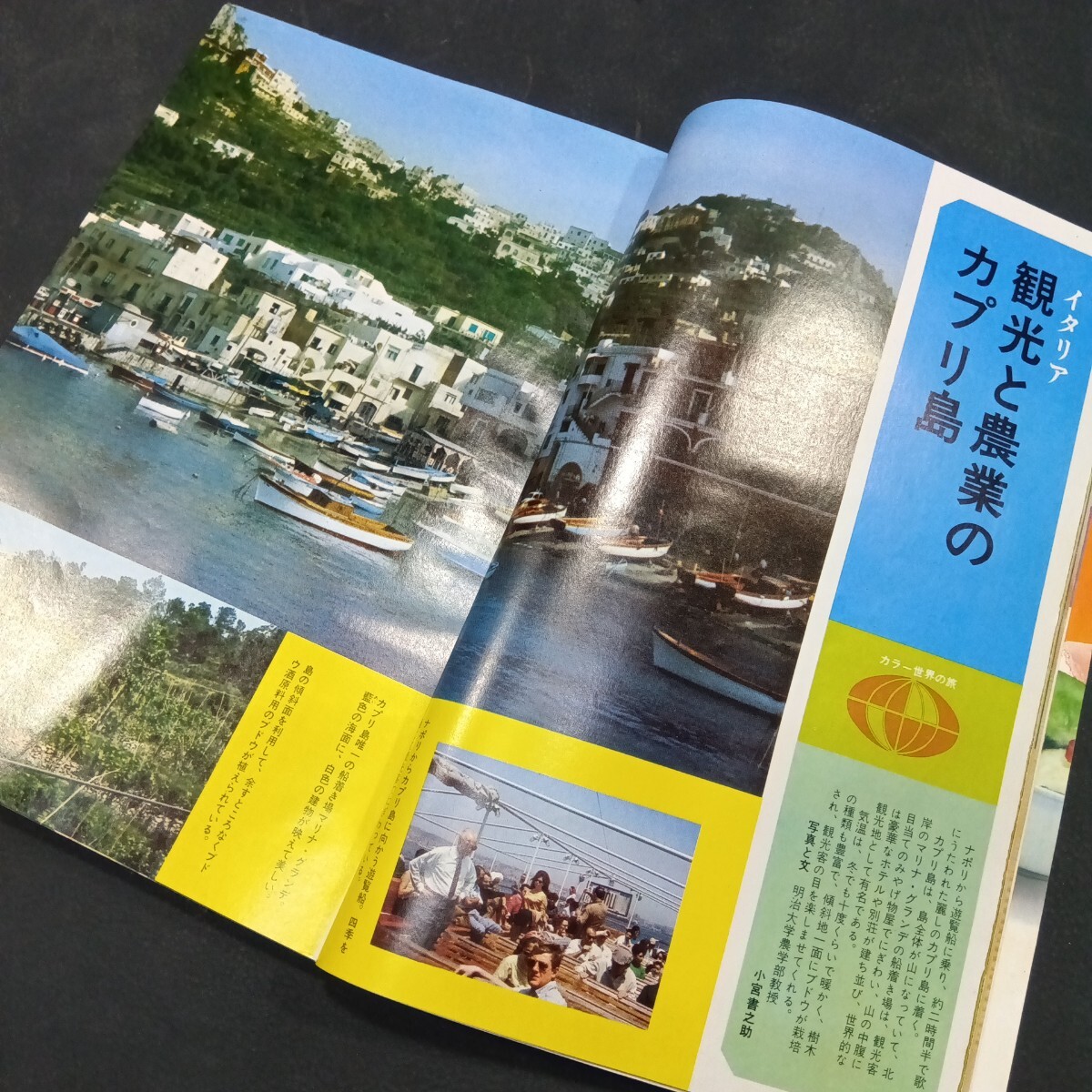 item_image_8