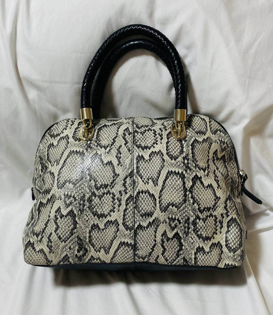 COLE HAAN コールハーン パイソン柄 サイドロゴ ハンドバッグ _画像1