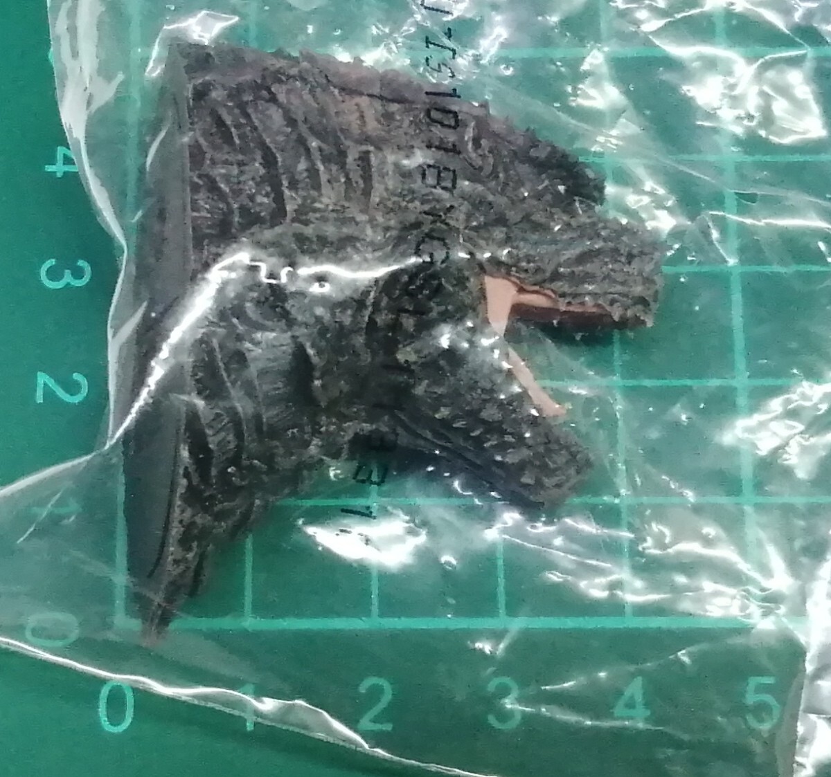 ゴジラ　2024　モンスターヘッドマグネット　一番くじ ゴジラ×コング 新たなる帝国　 F賞　フィギュア　マグネット　内袋未開封_画像10