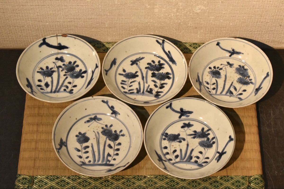 中国 美しい陶磁器 魚のデザイン 鯉 古美術 骨董品 美術 GE】Z112【コレクター所蔵品】時代 南京染付鯉図中皿5件/中国