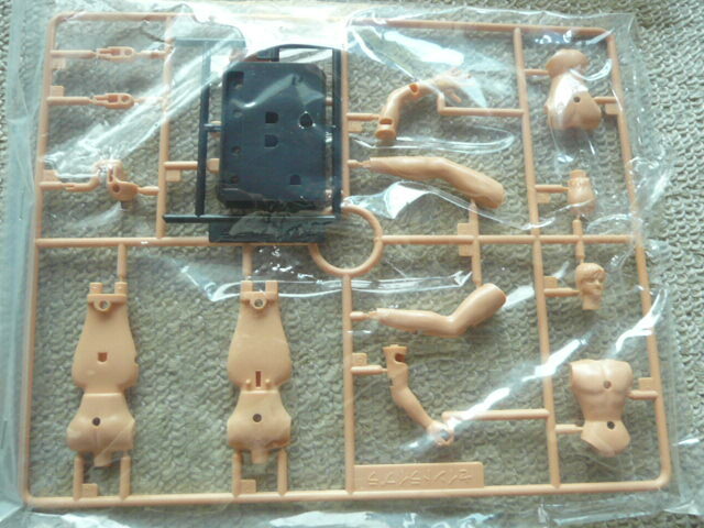 セイントライブラ 聖闘士星矢 　プラモデル_画像7