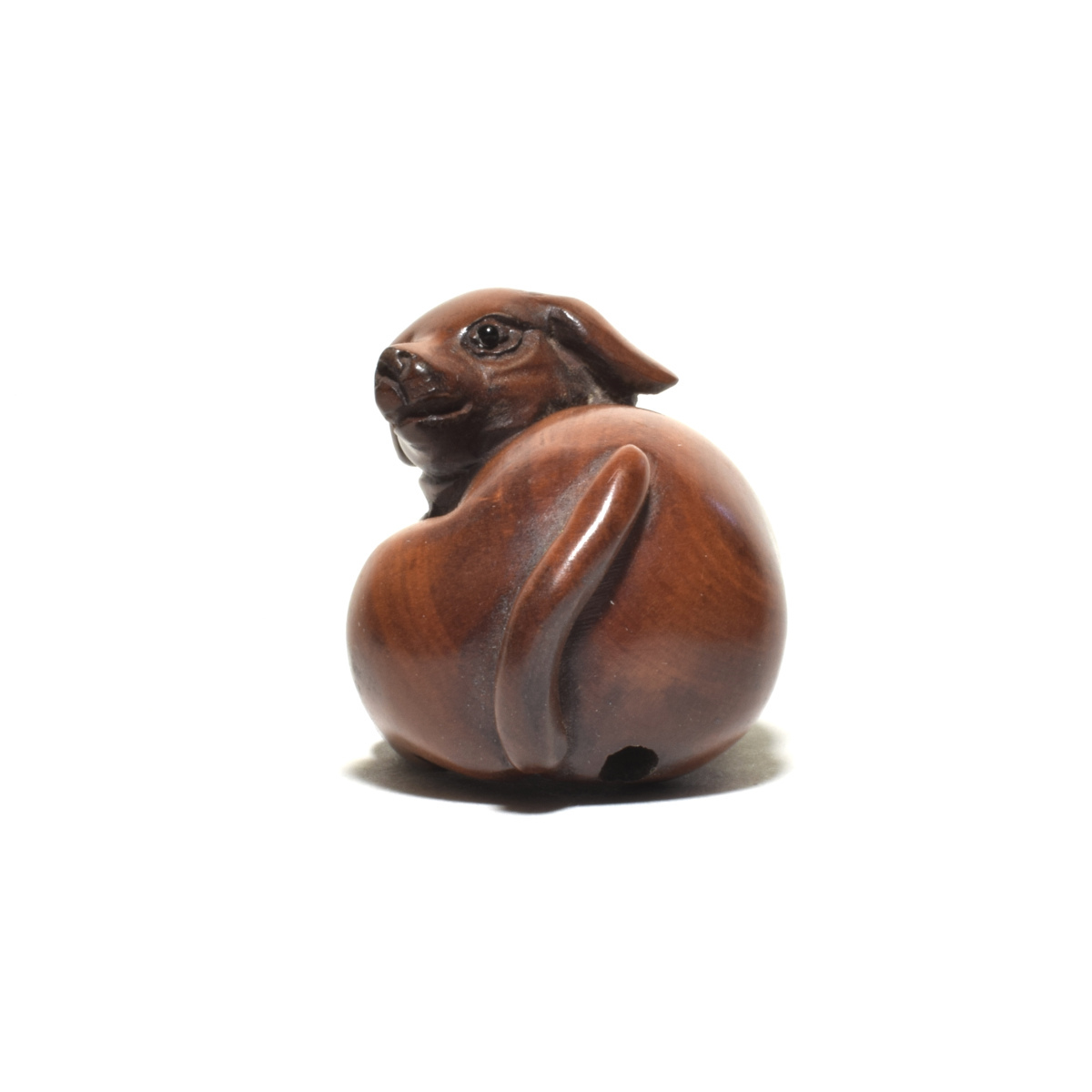  netsuke Самшит мелколистный собака деликатный скульптура из дерева собака [b13-12]