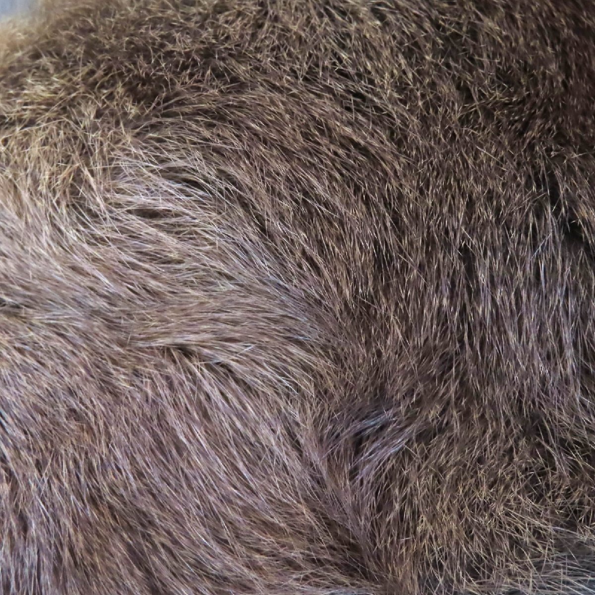 未使用品△MONCLER モンクレール CLEMATITE クレマチス リスファー ダウンコート ブラウン系 0 正規品 レディース_画像6