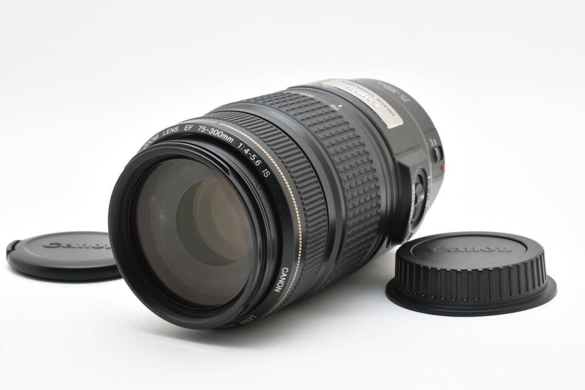 キャノン CANON EF 75-300mm F4-5.6 USM★うすくもり★3918 望遠レンズ キャノンCanon EF 75-300mm F4-5.6 生れ Ⅲ USM