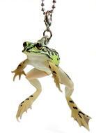 中古雑貨 トノサマガエル(ボールチェーン) 「ネイチャーテクニカラーMONO PLUS トノサマガエルとシュレーゲルアオガエ_画像1