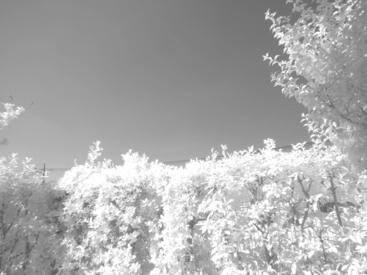 ★赤外線改造カメラ★ Canon PowerShot SX40HS【1210萬畫素 35倍ズーム 電子ビューファインダー內(nèi)蔵】