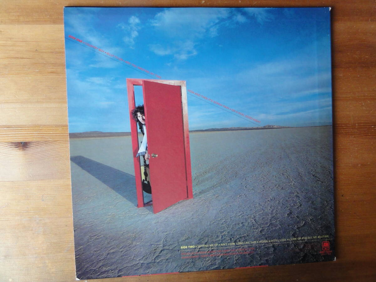 albert lee / hiding ●国内盤●_画像2