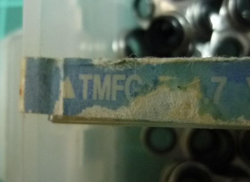 ★☆富士ガイド【TMFG◆5-4.7】ハードガイド☆★_画像5