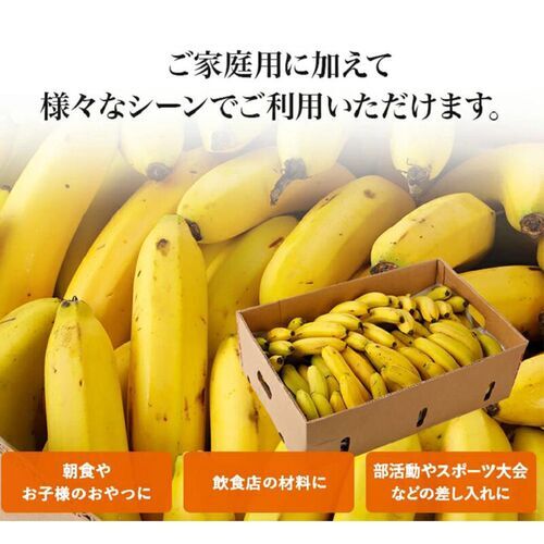 業務用 訳あり甘熟王バナナ 約5kg バナナ 期間限定バナナ 業務用バナナ 訳ありバナナ 格安バナナ 3_画像2