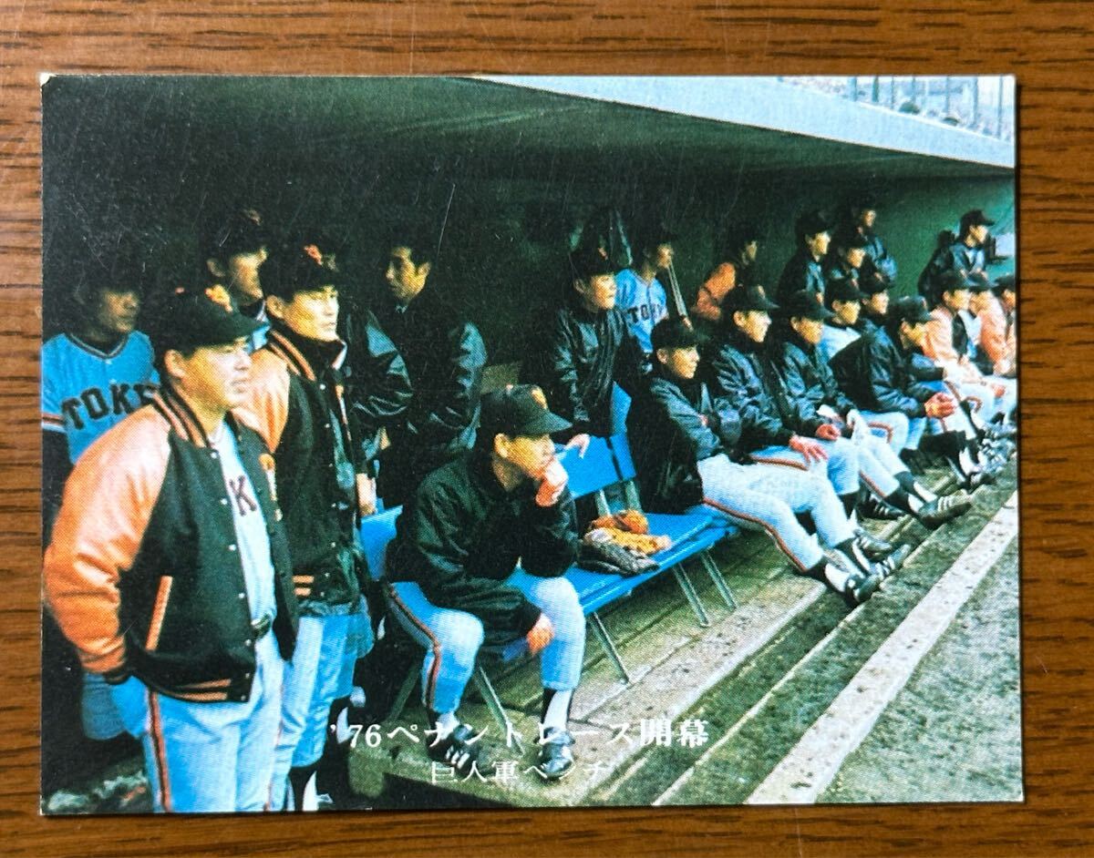  Calbee Professional Baseball карта *76 No.488 *76pe наан to гонки начало 