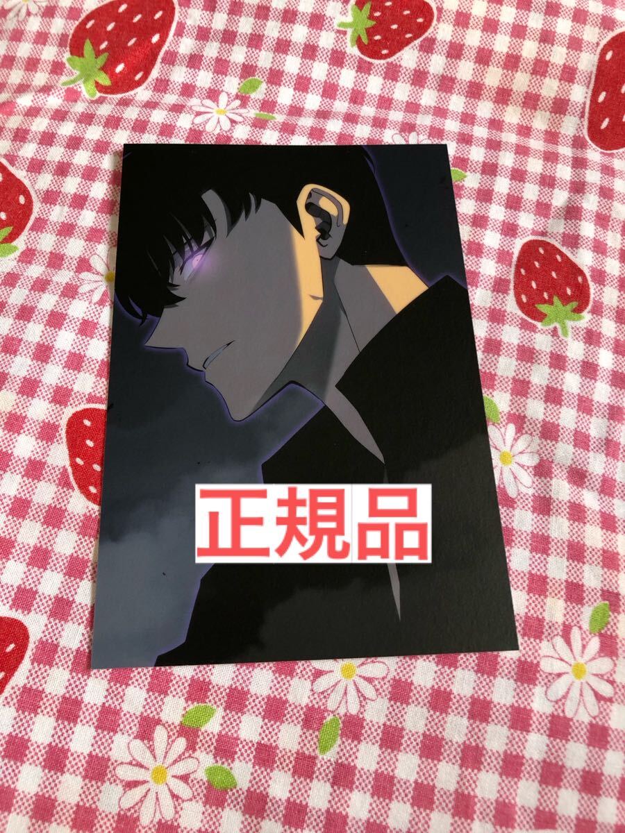 22 俺だけレベルアップな件 ポストカード ブロマイド ソロレベリング 22 俺だけレベルアップな件 ポストカード ブロマイド ソロ