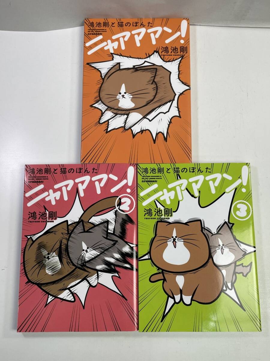 鴻池剛と猫のぽんたニャアアアン 1-3 鴻池 剛【K160930】_画像3