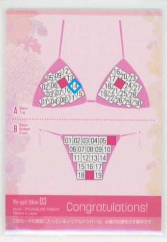 未梨一花　ピンスポビキニカード　オレンジビキニ　センター部位 Amazon.co.jp: HIT'S/未梨一花 専用特製バインダー (オレンジ