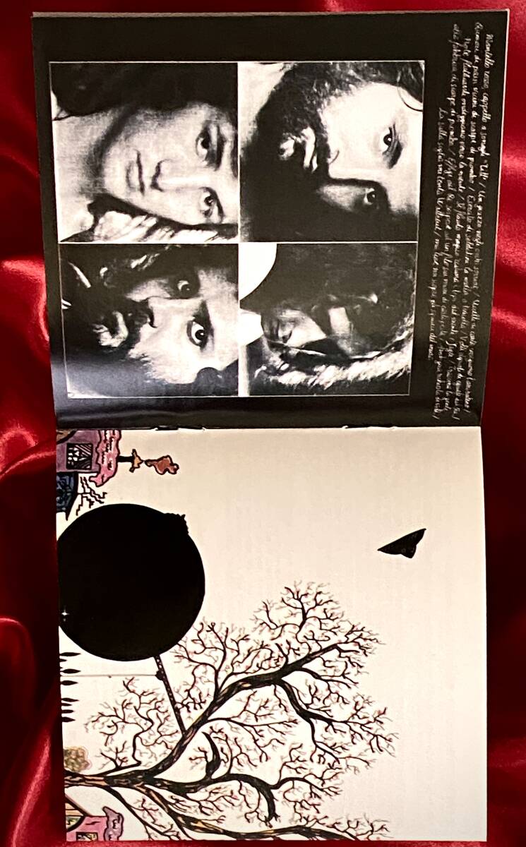●Il Paese Dei Balocchi / Il Paese Dei Balocchi ●2007年イタリアオリジナル盤 VMCD125 プログレ / Prog Rock_画像10
